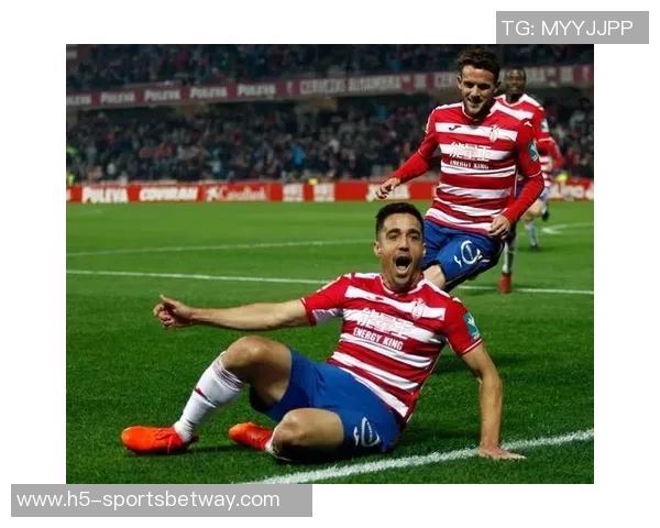 鲍威尔赞拉松为天生斗士期待他重返赛场改变比赛局势的拼搏精神